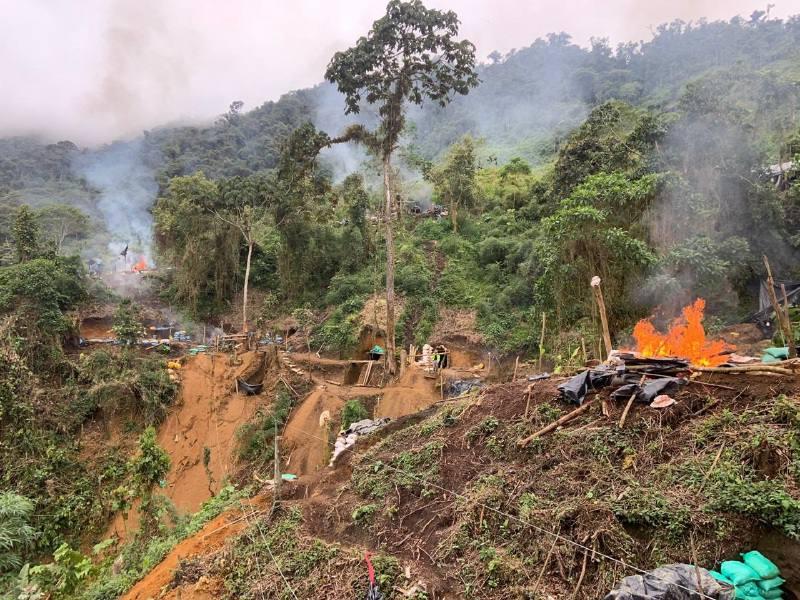 Reforestación no es solución